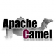 Apache Camel Schulungen in Schweiz