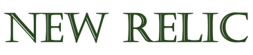 New Relic Schulungen in Schweiz